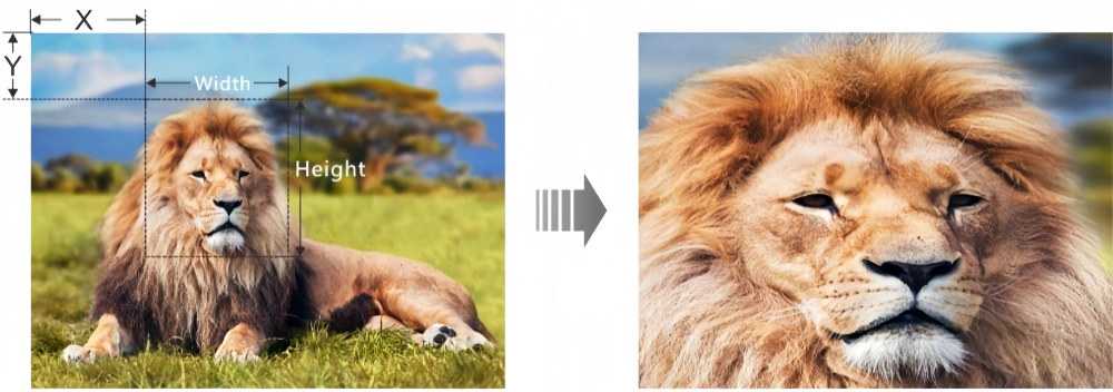 j6 switcher-Layer Settings